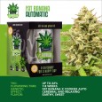 IGROWCAN - Fat Banana Auto